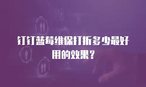 钉钉蓝莓维保打折多少最好用的效果？