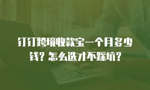 钉钉跨境收款宝一个月多少钱？怎么选才不踩坑？