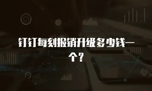 钉钉每刻报销升级多少钱一个？