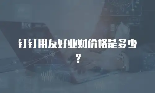 钉钉用友好业财价格是多少？