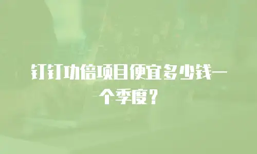 钉钉功倍项目便宜多少钱一个季度？