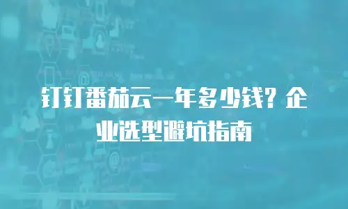 钉钉番茄云一年多少钱？企业选型避坑指南