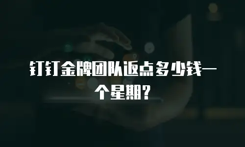 钉钉金牌团队返点多少钱一个星期？