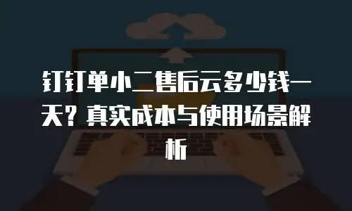 钉钉单小二售后云多少钱一天？真实成本与使用场景解析