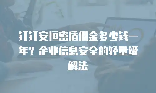 钉钉安恒密盾佣金多少钱一年？企业信息安全的轻量级解法