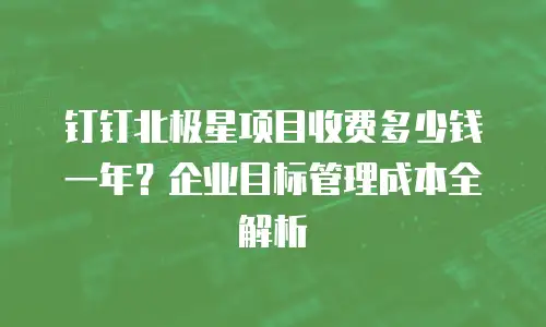 钉钉北极星项目收费多少钱一年？企业目标管理成本全解析