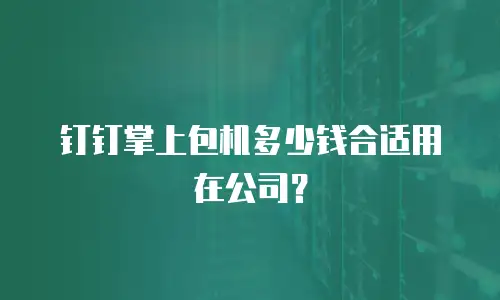 钉钉掌上包机多少钱合适用在公司？