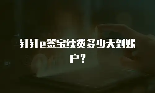 钉钉e签宝续费多少天到账户？