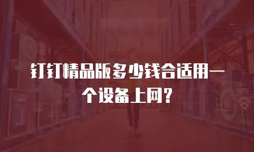 钉钉精品版多少钱合适用一个设备上网？