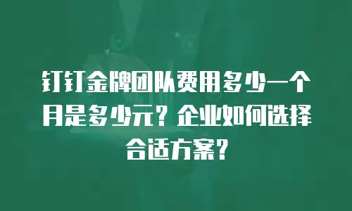 钉钉金牌团队费用多少一个月是多少元？企业如何选择合适方案？