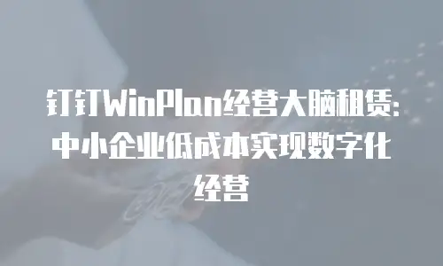 钉钉WinPlan经营大脑租赁：中小企业低成本实现数字化经营