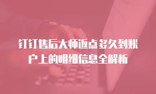 钉钉售后大师返点多久到账户上的明细信息全解析