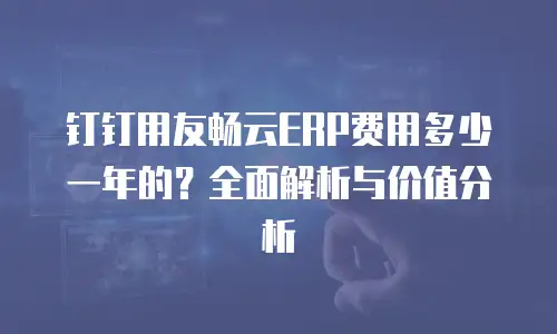 钉钉用友畅云ERP费用多少一年的？全面解析与价值分析