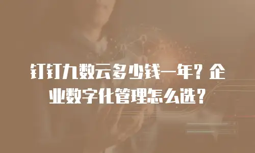钉钉九数云多少钱一年？企业数字化管理怎么选？