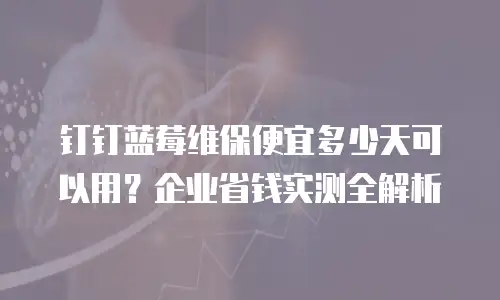 钉钉蓝莓维保便宜多少天可以用？企业省钱实测全解析