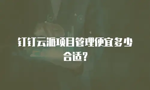钉钉云派项目管理便宜多少合适？