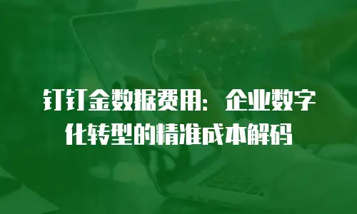 钉钉金数据费用：企业数字化转型的精准成本解码