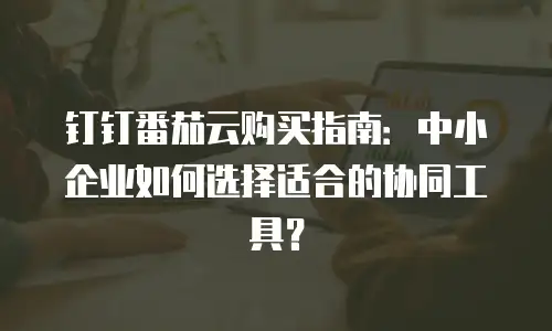 钉钉番茄云购买指南：中小企业如何选择适合的协同工具？