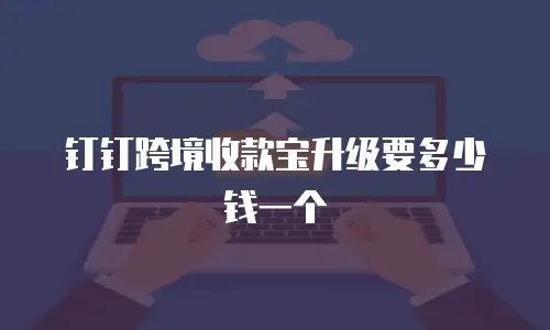 钉钉跨境收款宝升级要多少钱一个