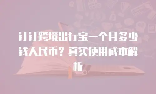 钉钉跨境出行宝一个月多少钱人民币？真实使用成本解析