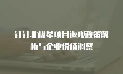 钉钉北极星项目返现政策解析与企业价值洞察