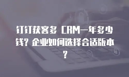 钉钉获客多 CRM一年多少钱？企业如何选择合适版本？