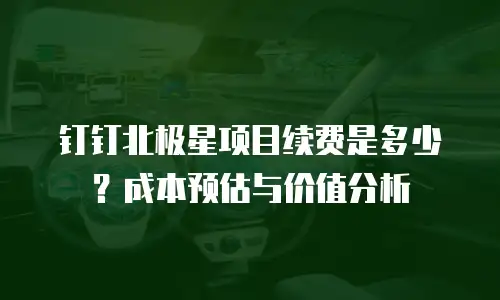 钉钉北极星项目续费是多少？成本预估与价值分析