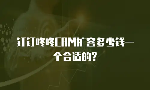 钉钉咚咚CRM扩容多少钱一个合适的？