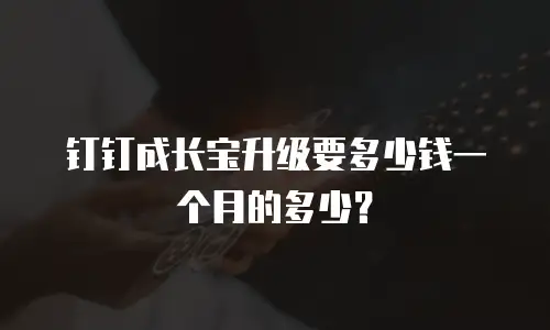 钉钉成长宝升级要多少钱一个月的多少？