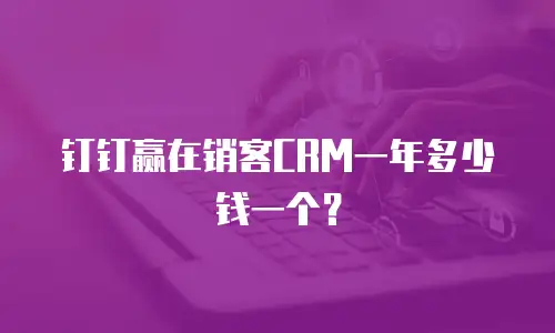 钉钉赢在销客CRM一年多少钱一个？