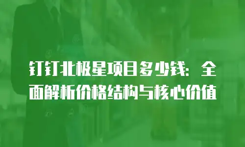 钉钉北极星项目多少钱：全面解析价格结构与核心价值