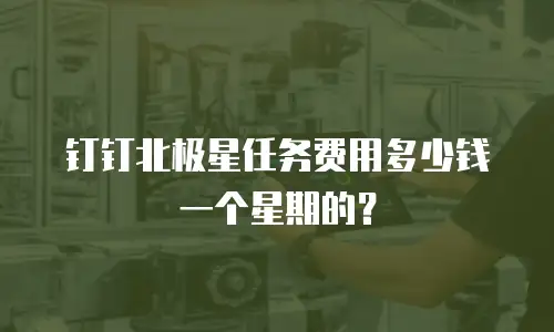 钉钉北极星任务费用多少钱一个星期的？