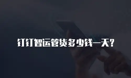 钉钉智运管货多少钱一天？