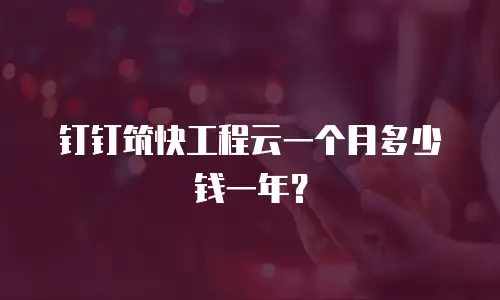 钉钉筑快工程云一个月多少钱一年？
