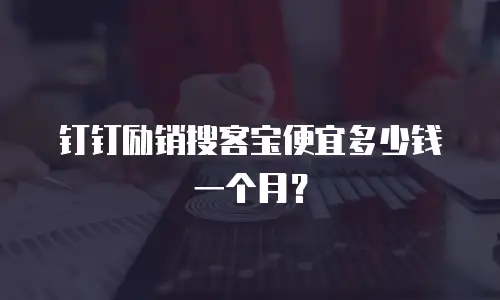 钉钉励销搜客宝便宜多少钱一个月？