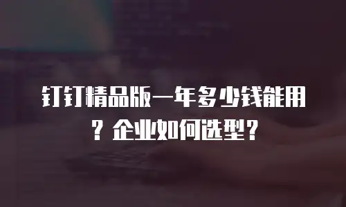 钉钉精品版一年多少钱能用？企业如何选型？