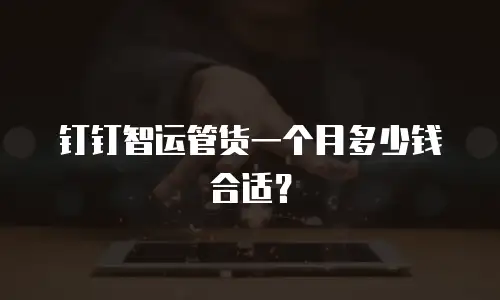 钉钉智运管货一个月多少钱合适？