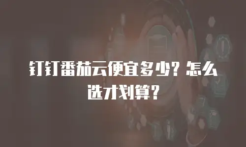 钉钉番茄云便宜多少？怎么选才划算？