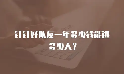 钉钉好队友一年多少钱能进多少人？