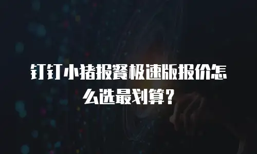 钉钉小猪报餐极速版报价怎么选最划算？