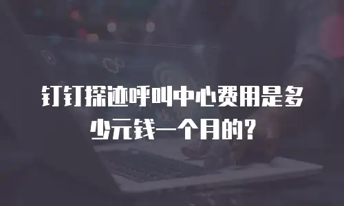 钉钉探迹呼叫中心费用是多少元钱一个月的？