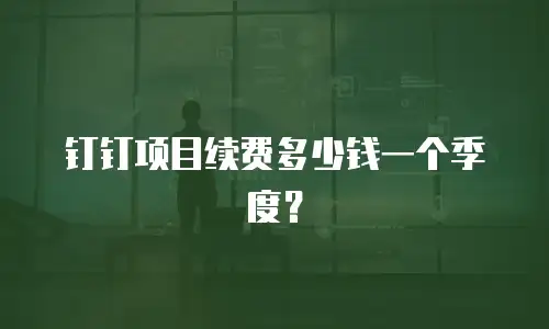 钉钉项目续费多少钱一个季度？
