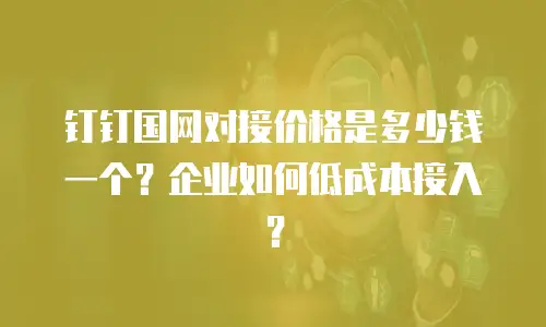 钉钉国网对接价格是多少钱一个？企业如何低成本接入？