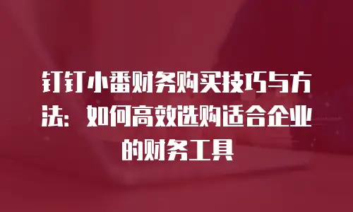 钉钉小番财务购买技巧与方法：如何高效选购适合企业的财务工具