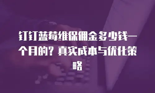 钉钉蓝莓维保佣金多少钱一个月的？真实成本与优化策略