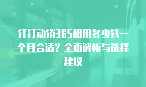 钉钉动销365租用多少钱一个月合适？全面解析与选择建议