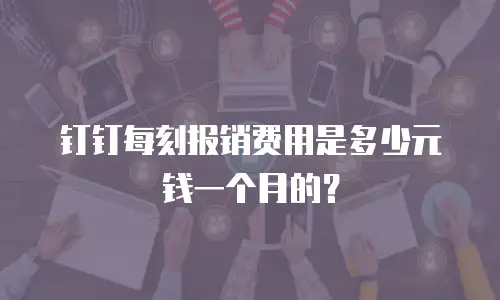 钉钉每刻报销费用是多少元钱一个月的？