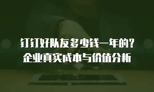 钉钉好队友多少钱一年的？企业真实成本与价值分析