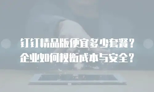 钉钉精品版便宜多少套餐？企业如何权衡成本与安全？