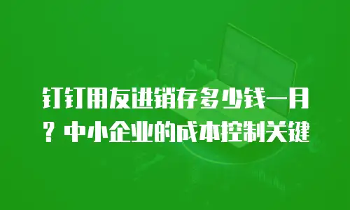钉钉用友进销存多少钱一月？中小企业的成本控制关键